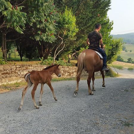 Agriturismo Corte Del Gallo Rivergaro Eksteriør bilde