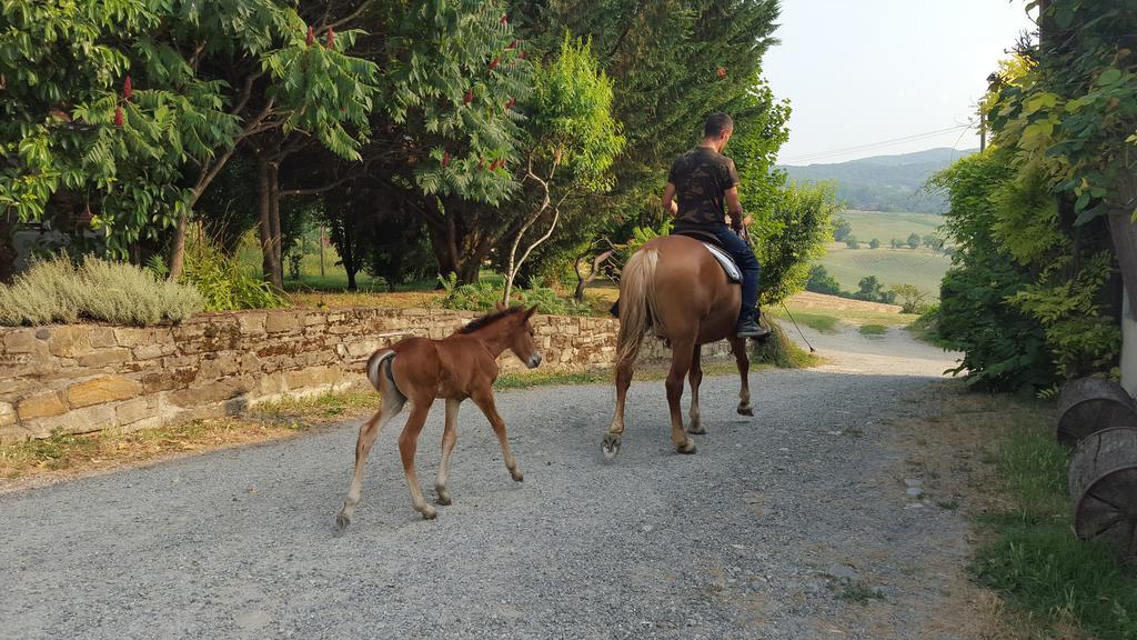 Agriturismo Corte Del Gallo Rivergaro Eksteriør bilde